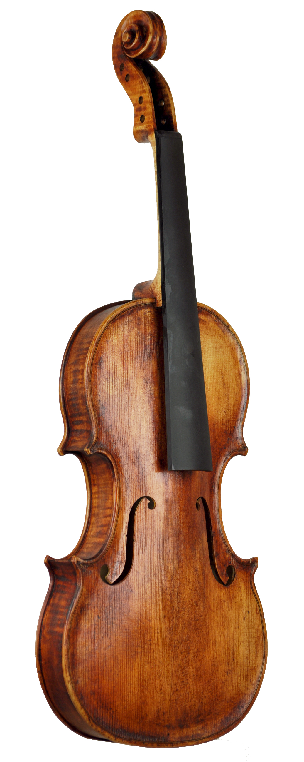 Anansi Front [Bass Angle] (Image Courtesy of Crispin Hammer Violins)